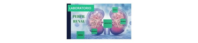 Enfermedad Renal